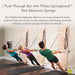 Pilates Springboard Wall Unit with Push-Through Bar & Resistance Springs for Home & Studio